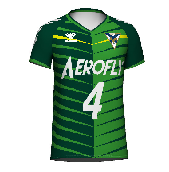 ONLY hummel バレーボール 昇華ゲームウェア レディースシャツ(HAGVL112)