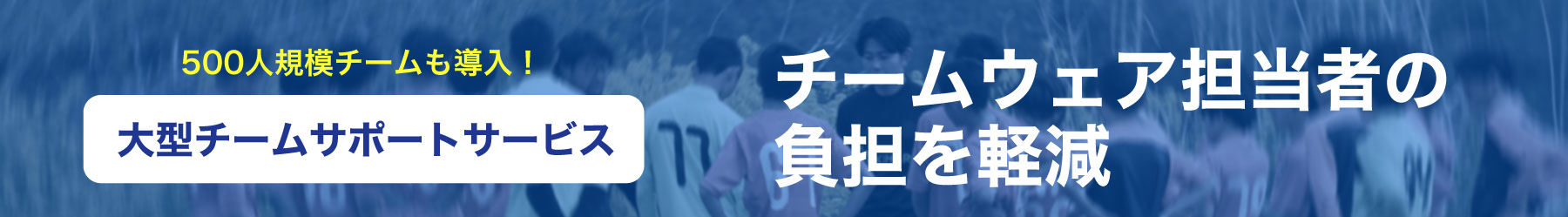 大型チームサポートサービス