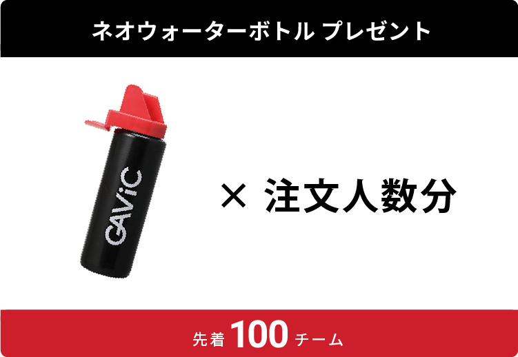 人数分 ネオウォーターボトルプレゼント GAVIC