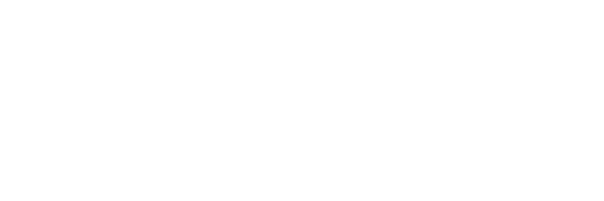 JAPAN MODEL 日本モデル