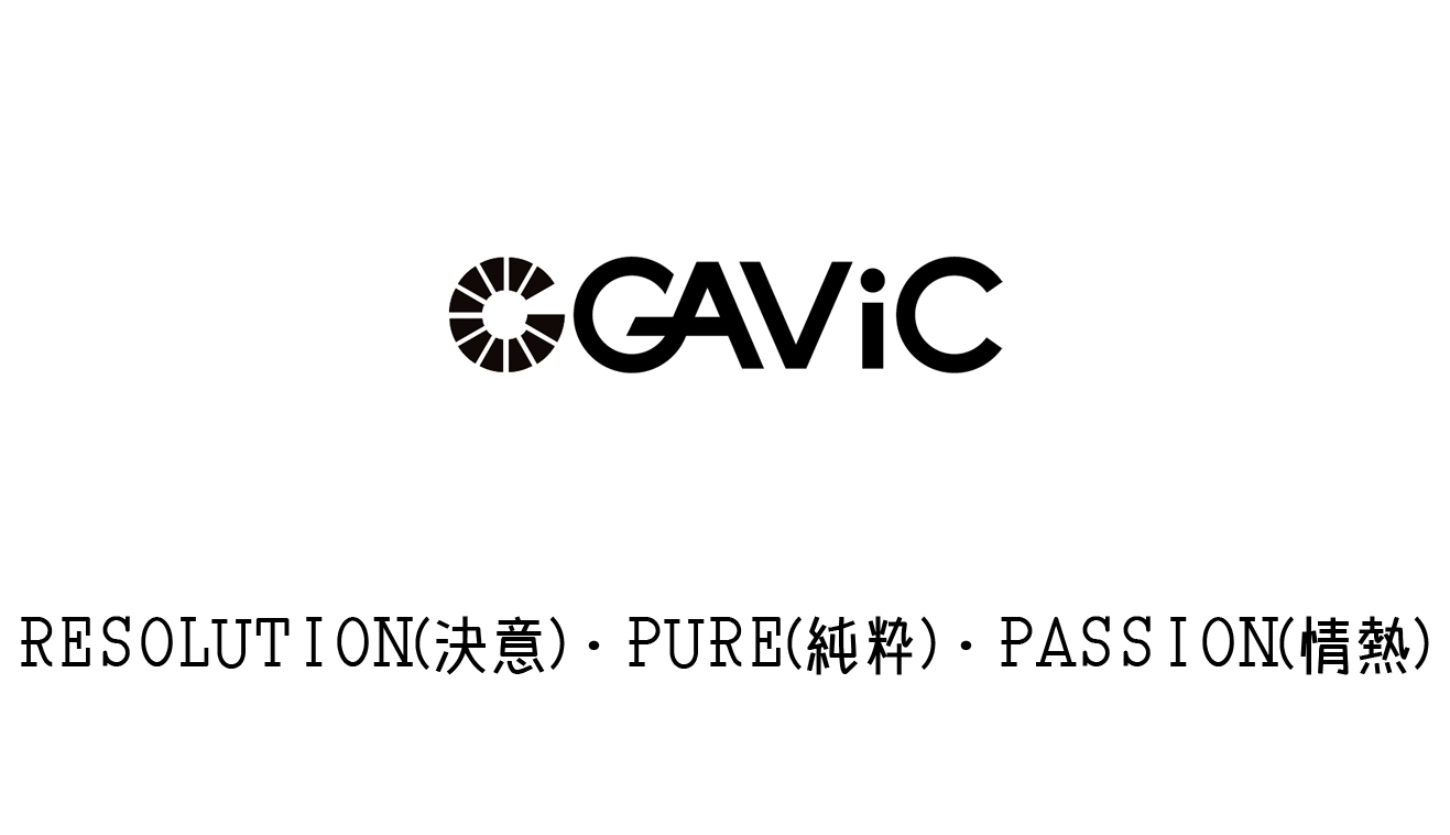 gavic,ガビック,ギャビック